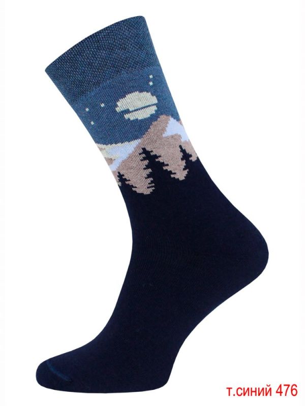 Men's socks ARCTIC 18c2424