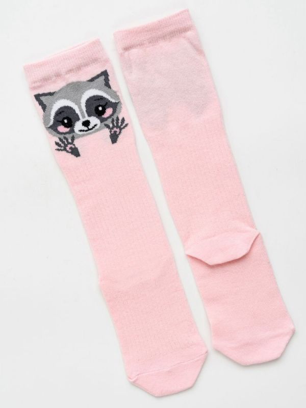 Children's socks Raccoon