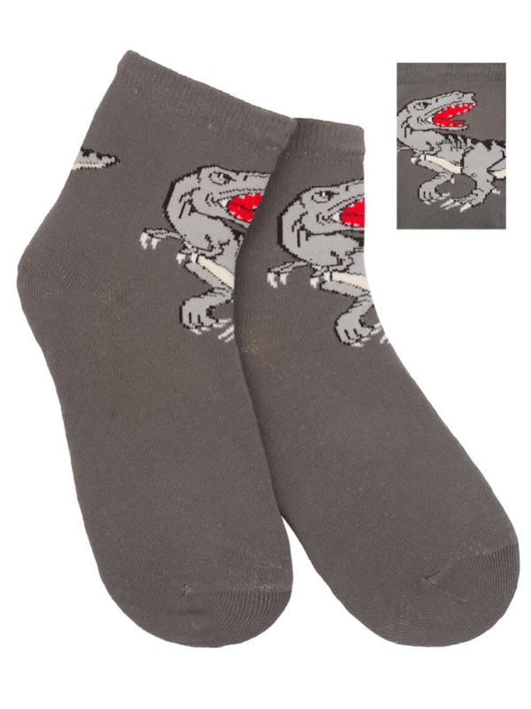 Socks children's socks Lizard (3 pairs in a pack)